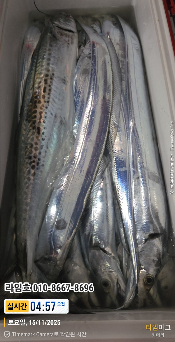 2025-11-15 04.57.53__(제목-실시간)_(라임호 010-8667-8696).jpg