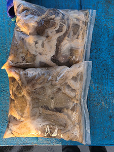 인천쭈꾸미낚시 (15).jpg