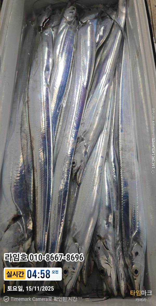 2025-11-15 04.58.27__(제목-실시간)_(라임호 010-8667-8696).jpg