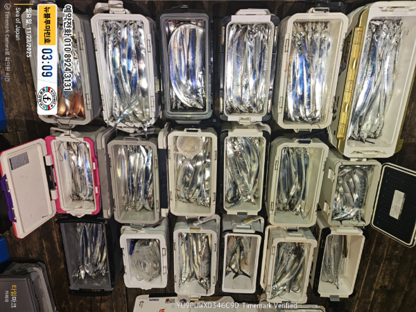 2025-11-23 03.09.09_Japan_(제목-뉴블루마린호)_(예약전화 010 8924 3131).jpg