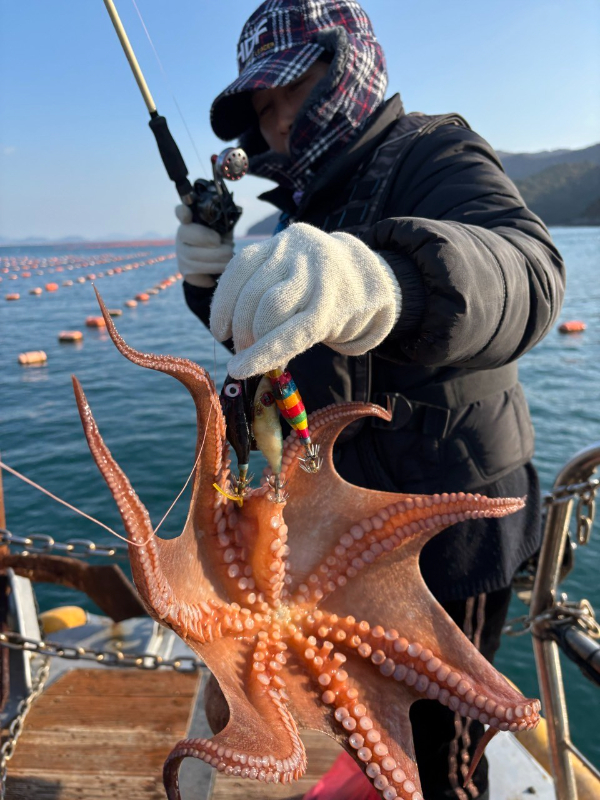 통영 메티스호_사진_20251120_19.jpg