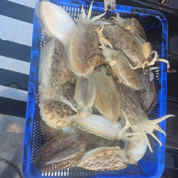 마검포 대한호(VIP)_사진_20251114_9.jpg