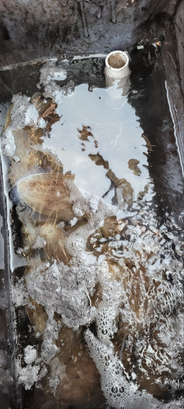 예지퀸호 농어외수질&어초낚시 경기인천권_사진_20251109_8.jpg