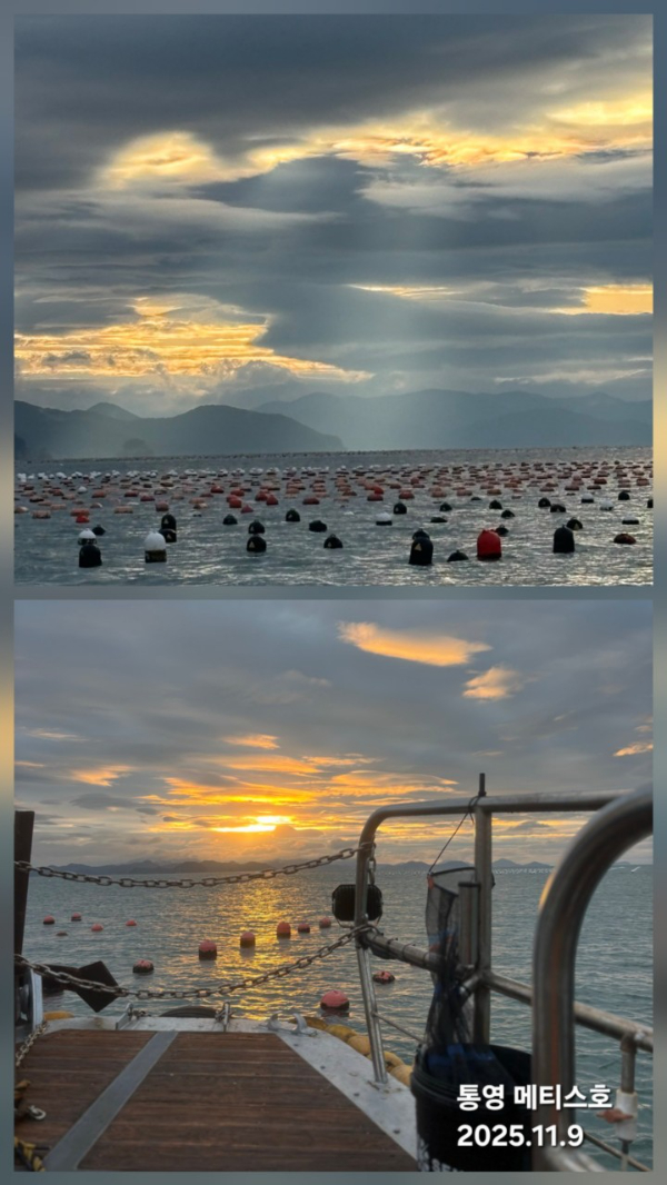 통영 메티스호_사진_20251110_5.jpg