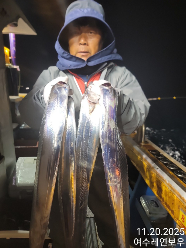 ♡여수레인보우♡갈치_열기_한치_갑오징어__사진_20251120_12.jpg