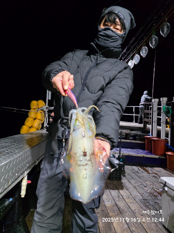 제주왔어호_사진_20251116_18.jpg