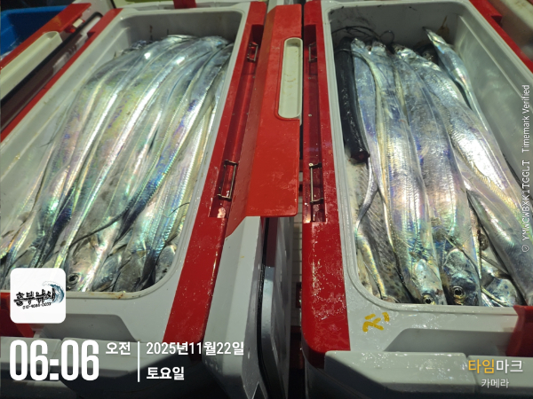 2025-11-22 06.06.08_.jpg