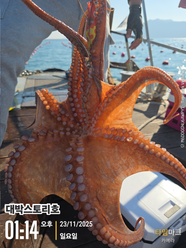 2025-11-23 01.14.18__(대박스토리호).jpg