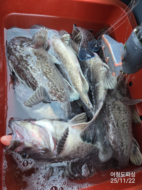 최강피싱 063.463.0800_사진_20251122_32.jpg