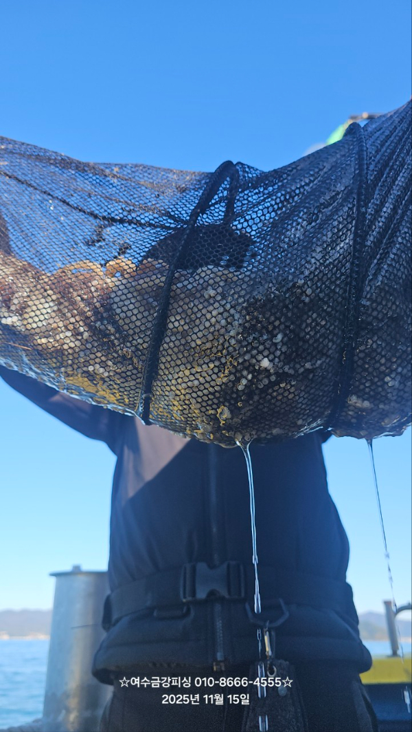 여수금강피싱_사진_20251115_3.jpg