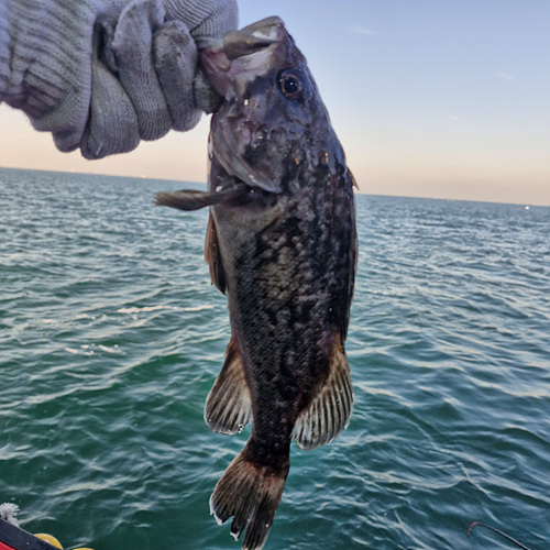 인천바다낚시 (4).jpg