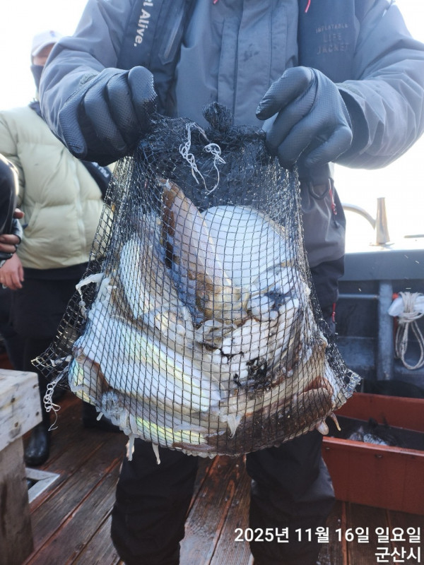 군산 선상낚시, 바다낚시 출조 전문 ☆서군산낚시☆_사진_20251116_9.jpg