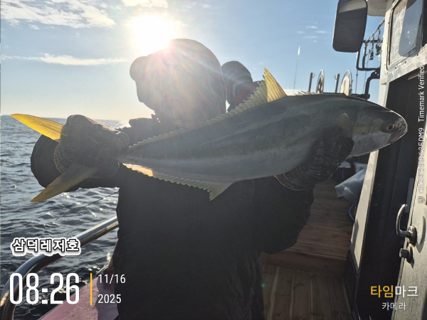 2025-11-16 08.26.25_.jpg