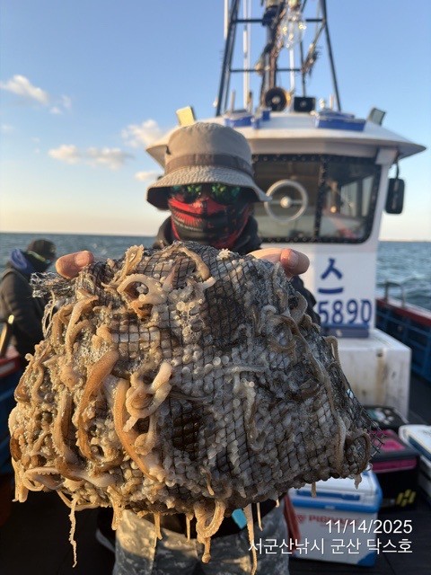 군산 선상낚시, 바다낚시 출조 전문 ☆서군산낚시☆_사진_20251114_4.jpg