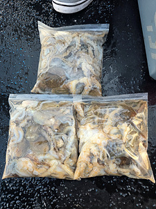 인천쭈꾸미낚시 (20).jpg