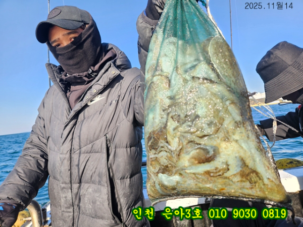 11월14 3호 (6).jpg