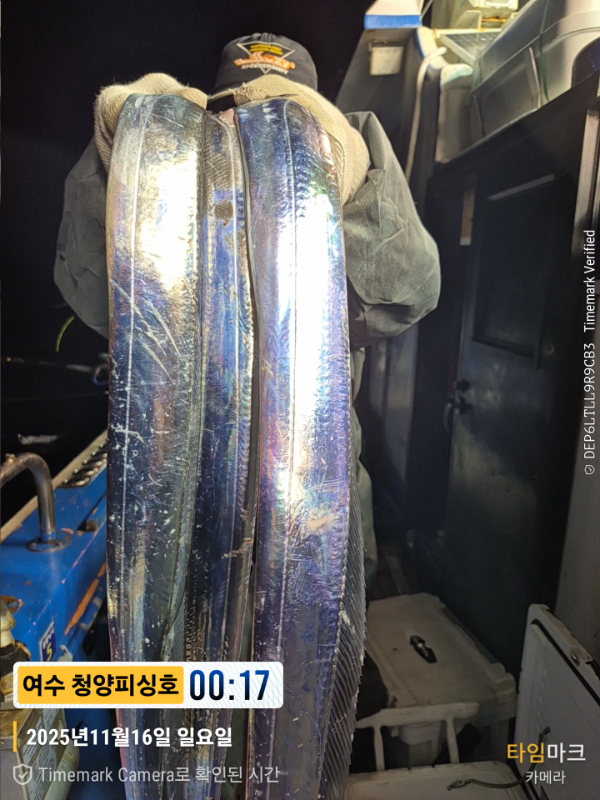 2025-11-16 00.17.53__(제목-여수 청양피싱호).jpg