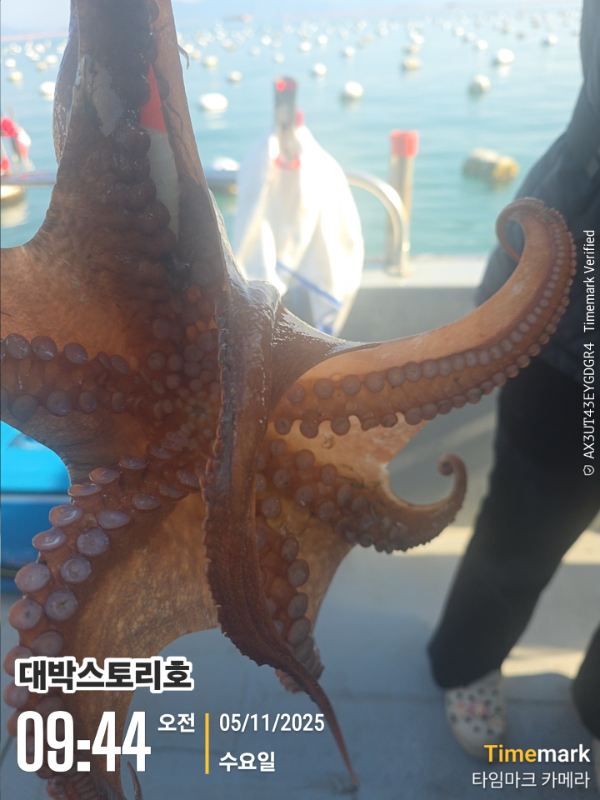 2025-11-05 09.44.17__(대박스토리호).jpg