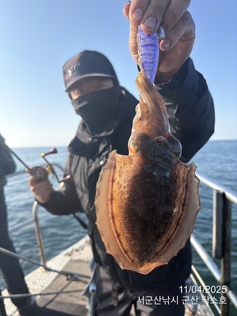 군산 선상낚시, 바다낚시 출조 전문 ☆서군산낚시☆_사진_20251104_10.jpg