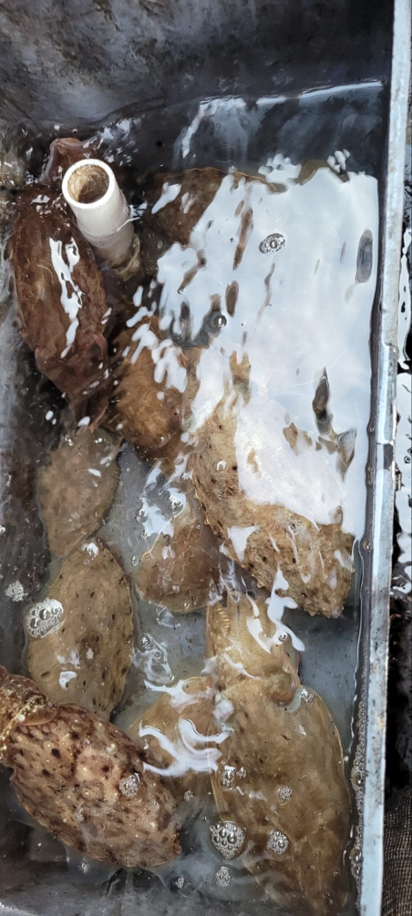 예지퀸호 농어외수질&어초낚시 경기인천권_사진_20251029_7.jpg