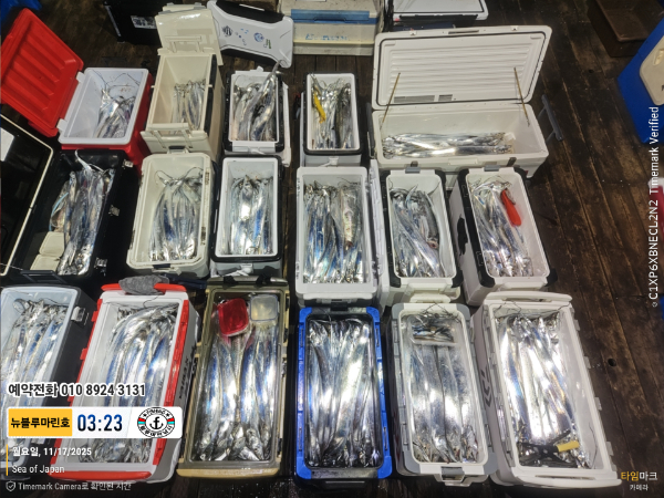 2025-11-17 03.23.28_Japan_(제목-뉴블루마린호)_(예약전화 010 8924 3131).jpg