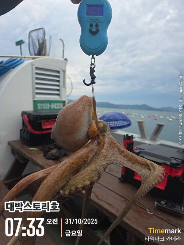 2025-10-31 07.33.05__(대박스토리호).jpg