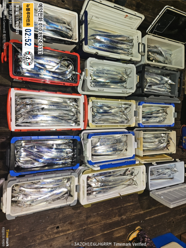 2025-11-01 02.52.21(1)_Japan_(제목-뉴블루마린호)_(예약전화 010 8924 3131).jpg