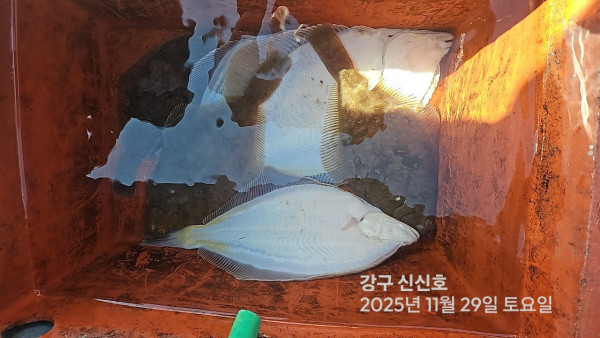 신신낚시 강구점 신신호_사진_20251129_12.jpg