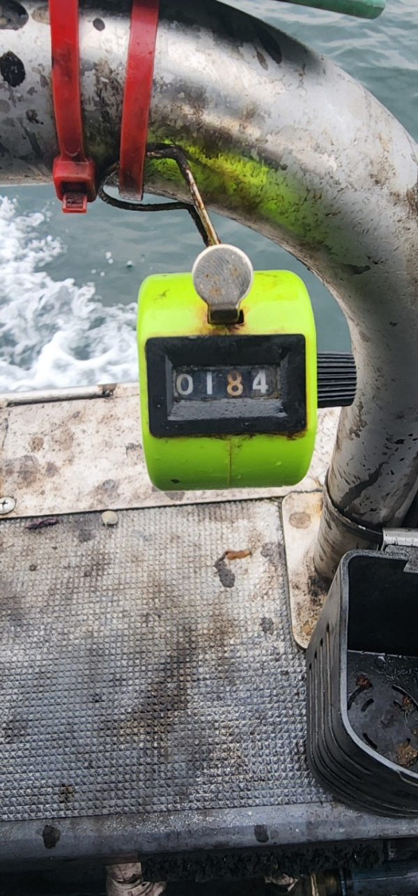 예지퀸호 농어외수질&어초낚시 경기인천권_사진_20251031_4.jpg