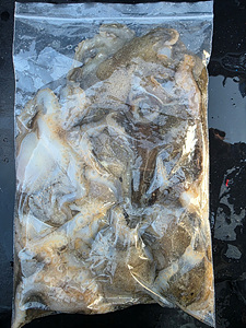 인천쭈꾸미낚시 (9).jpg