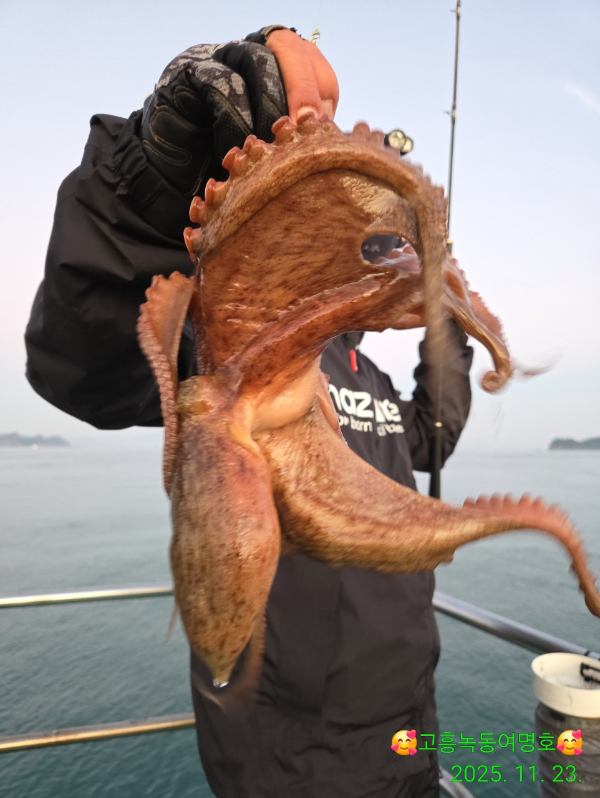 쎄븐피싱클럽(선상 버스출조전문)_사진_20251123_18.jpg