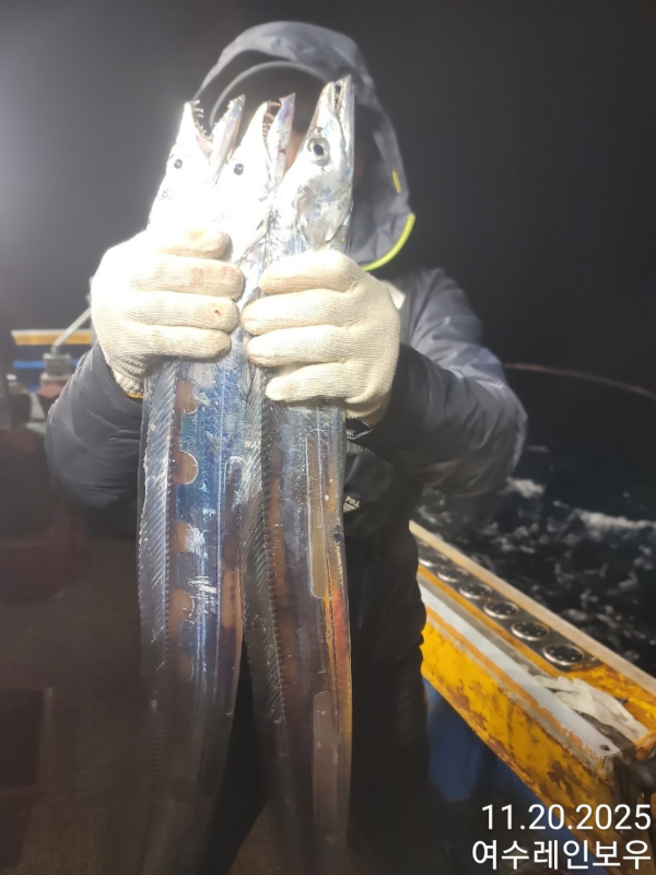 ♡여수레인보우♡갈치_열기_한치_갑오징어__사진_20251120_13.jpg