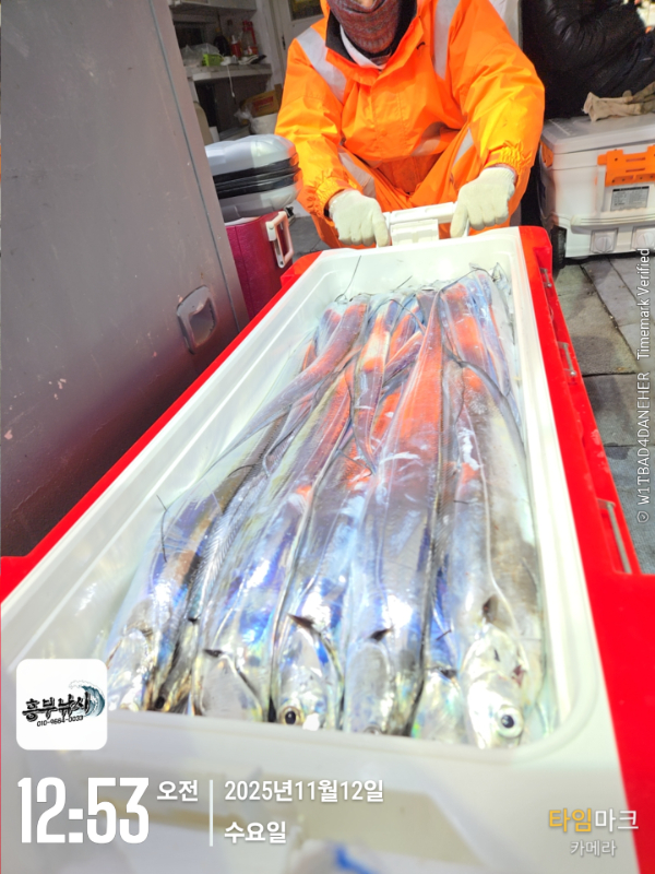 2025-11-12 12.53.07_.jpg