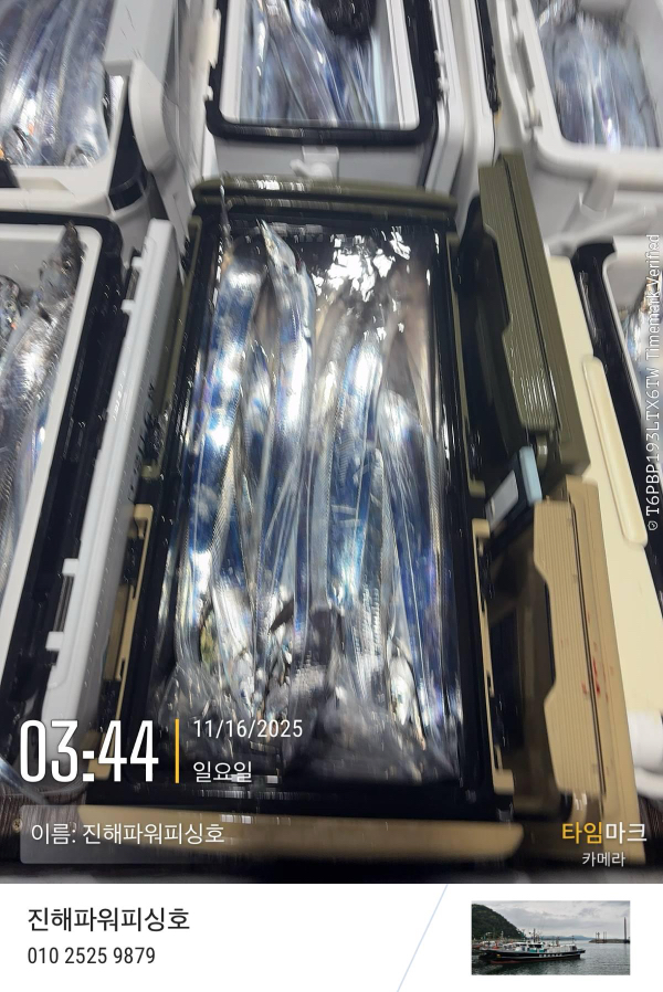 2025-11-16 03.44.04_(이름-진해파워피싱호).jpeg