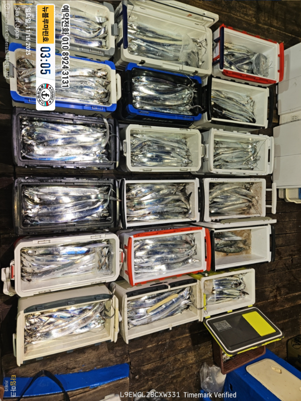 2025-11-16 03.05.11_Japan_(제목-뉴블루마린호)_(예약전화 010 8924 3131).jpg