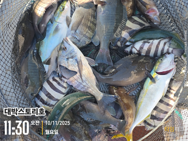 2025-11-10 11.30.21__(대박스토리호).jpg