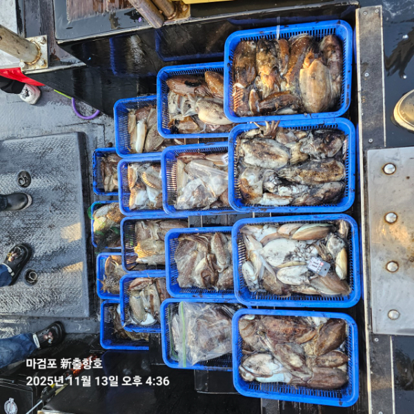 ꫛꫀꪝ✧‧˚ 태안 마검포 新출항호 .• _˚☀₊_사진_20251113_6.jpg