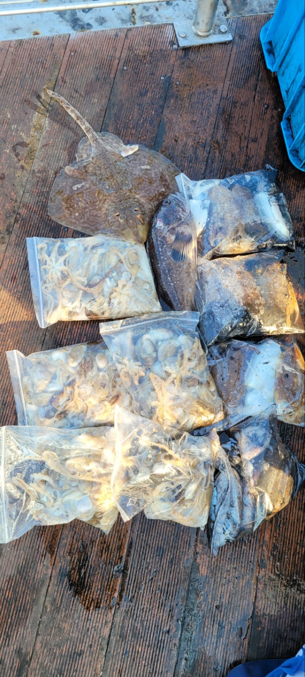 예지퀸호 농어외수질&어초낚시 경기인천권_사진_20251029_11.jpg