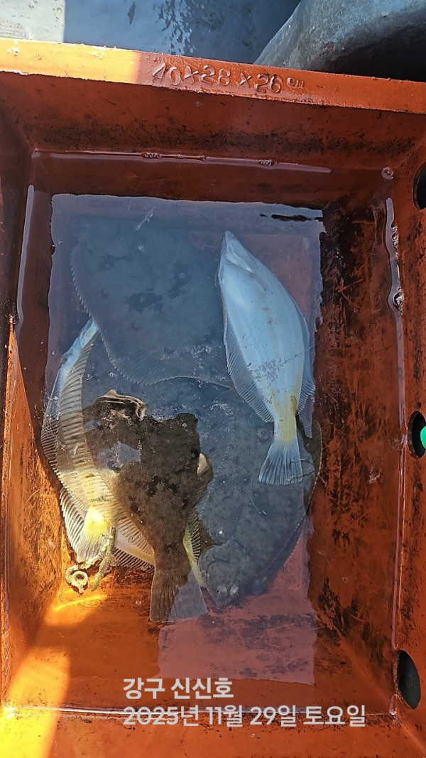 신신낚시 강구점 신신호_사진_20251129_2.jpg
