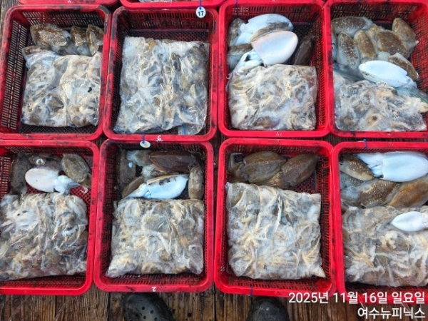 11월16일왕쭈갑 (1).jpg