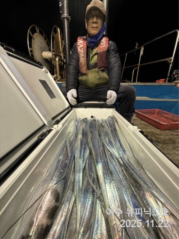 20911월22일갈치 (20).jpg