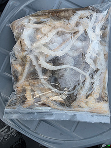 인천쭈꾸미낚시 (25).jpg