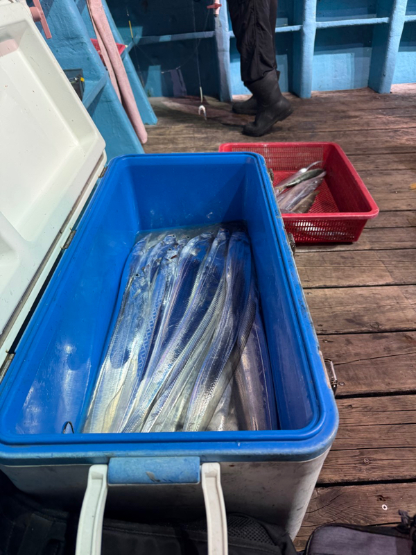 제주 쏘니호_사진_20251112_6.jpg