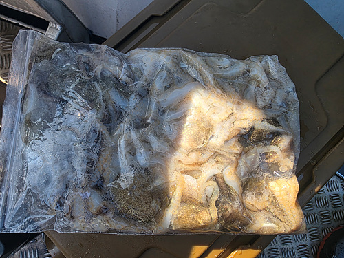 인천쭈꾸미낚시 (11).jpg