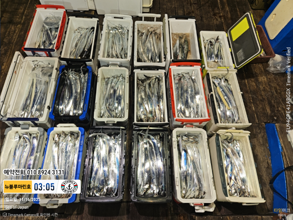 2025-11-16 03.05.06_Japan_(제목-뉴블루마린호)_(예약전화 010 8924 3131).jpg