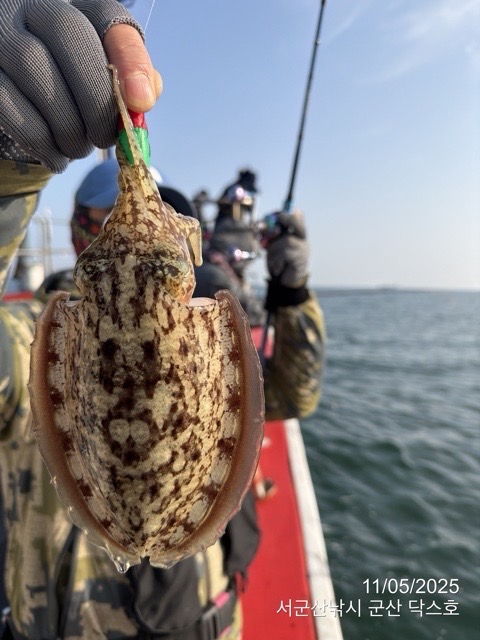 군산 선상낚시, 바다낚시 출조 전문 ☆서군산낚시☆_사진_20251105_17.jpg