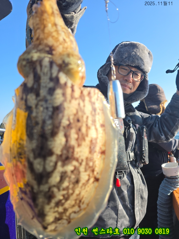 11월11 썬 (3).jpg