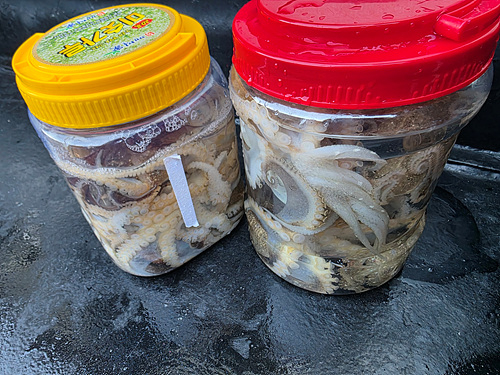 인천쭈꾸미낚시 (8).jpg