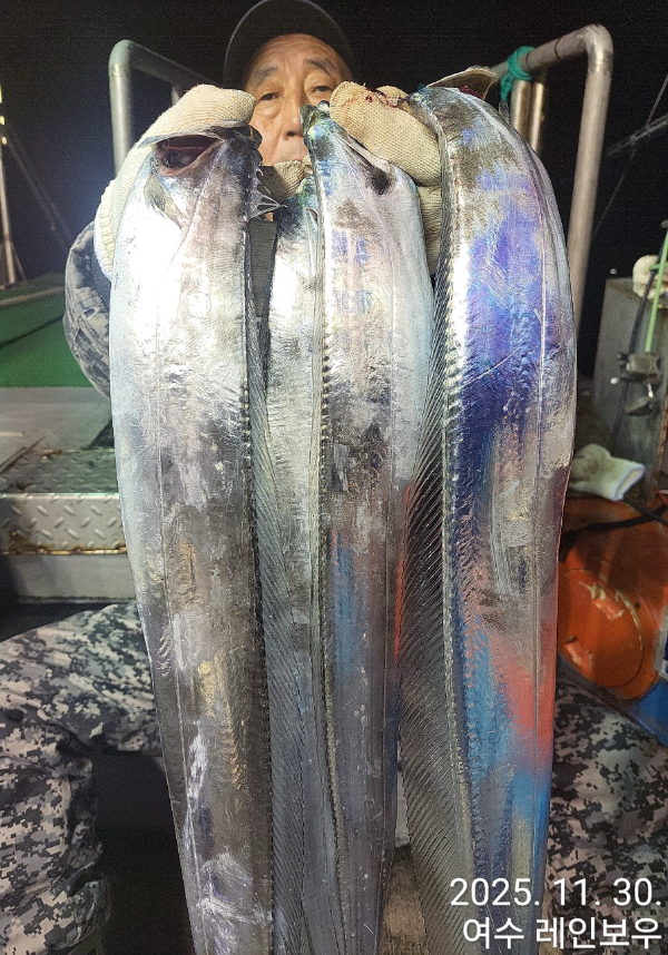 ♡여수레인보우♡갈치_열기_한치_갑오징어__사진_20251130_26.jpg