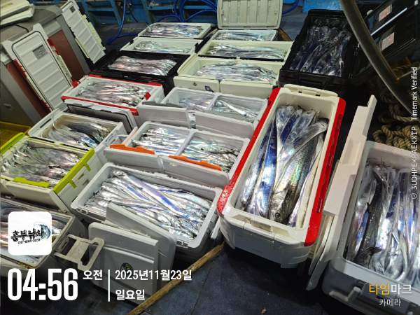 2025-11-23 04.56.31_.jpg